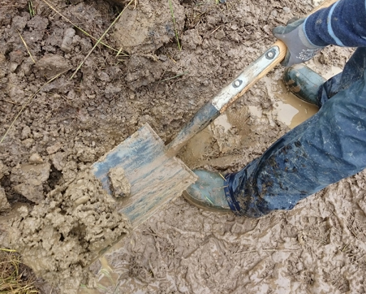 digging up soil sample